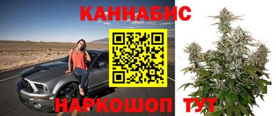 тгк Заволжье