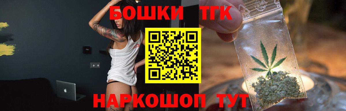 Конопля сатива Балтийск